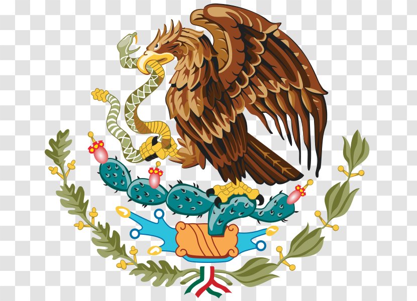 Flag Of Mexico Drawing Coat Arms - Fauna - Escudo De Guerrero Transparent PNG