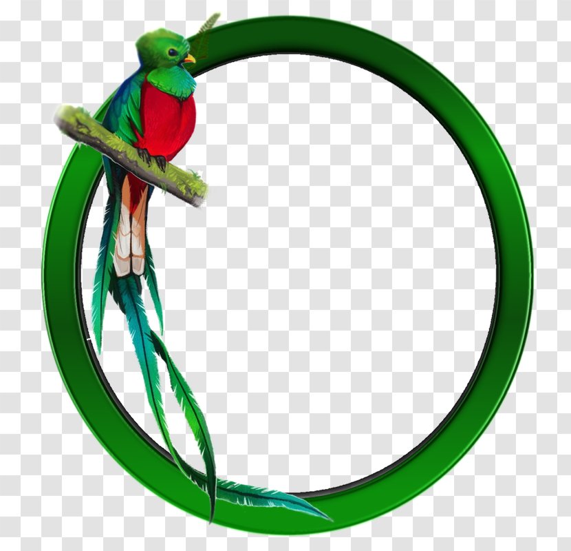 Guatemalan Quetzal Bird Resplendent - Animal Figure Transparent PNG