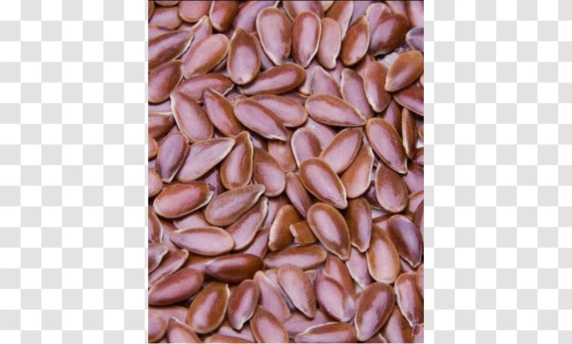 Organic Food Linseed Oil Pratapgarh Nut - Nuts Seeds Transparent PNG