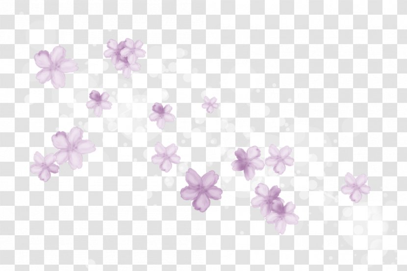 Cherry Blossom Water Petal Desktop Wallpaper - Silhouette Transparent PNG