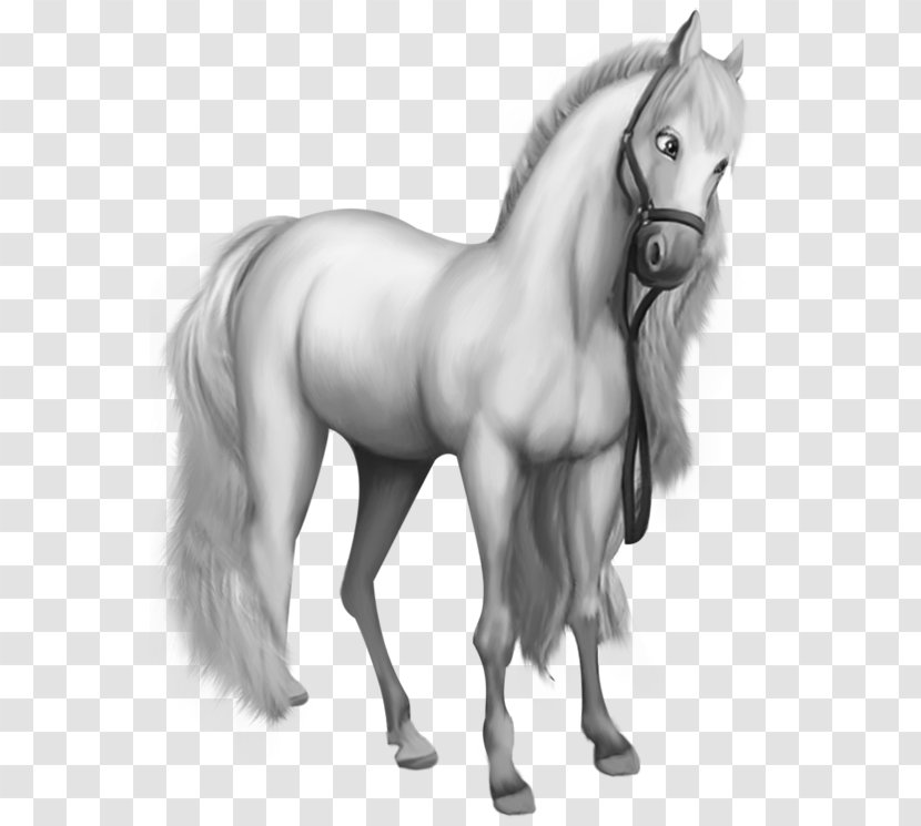 Morgan Horse Shetland Pony Clip Art - Mammal - Beautiful White Transparent PNG