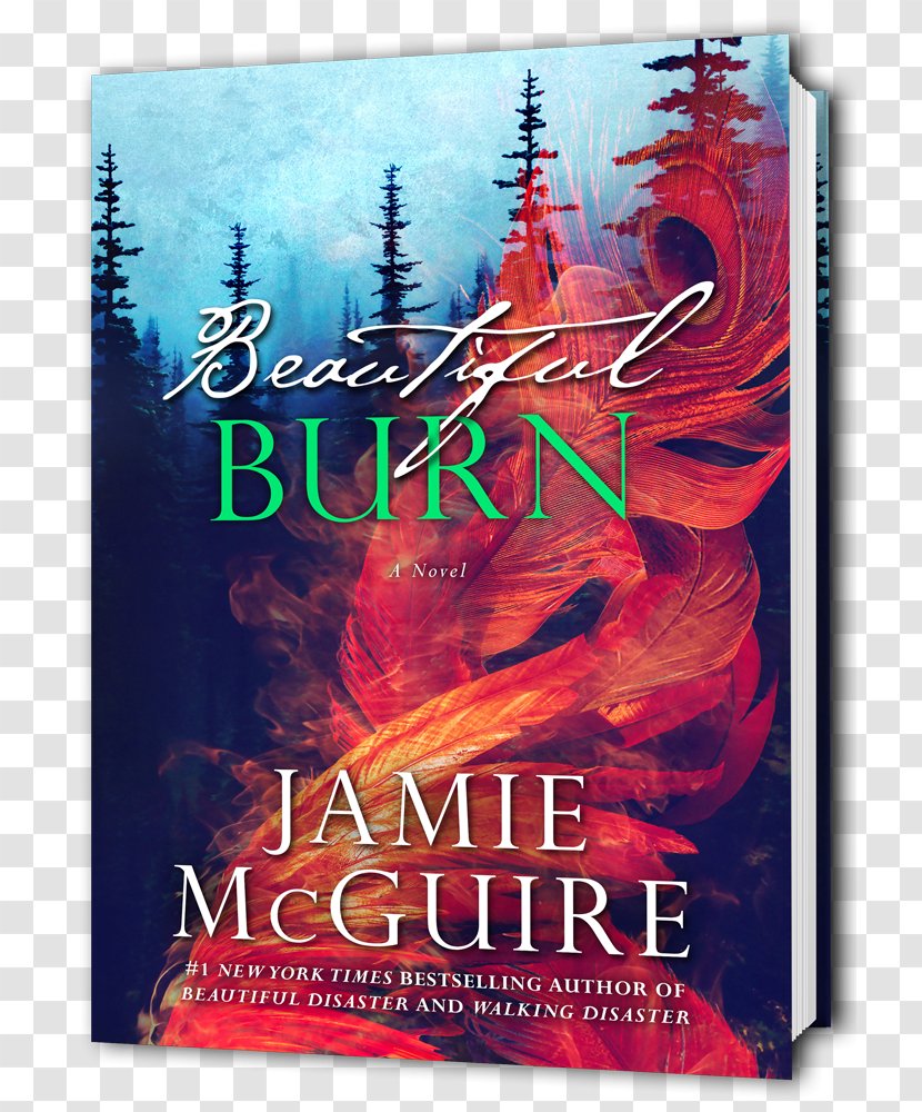 Beautiful Burn Oblivion Disaster Redemption Something Beautiful: A Novella - Burning Books Transparent PNG