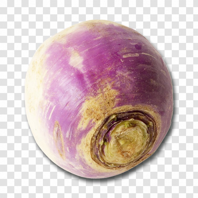 Turnip Kohlrabi Rutabaga Cruciferous Vegetables - Sphere - Vegetable Transparent PNG