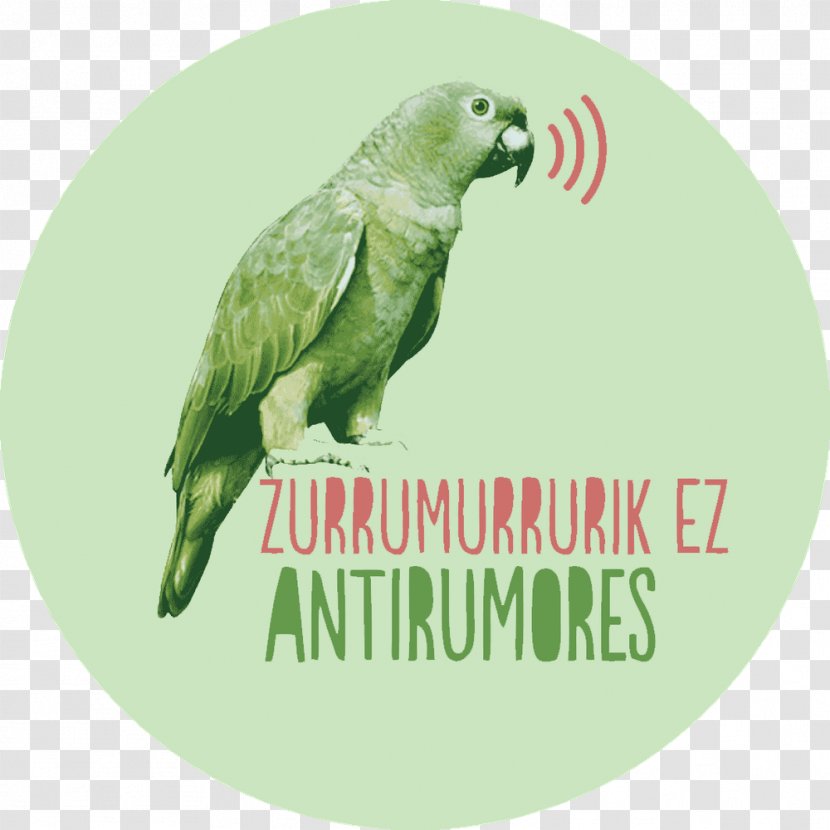 Interculturality Rumor Getxo Person Al Liquindoi - Bird - Uribekosta Transparent PNG