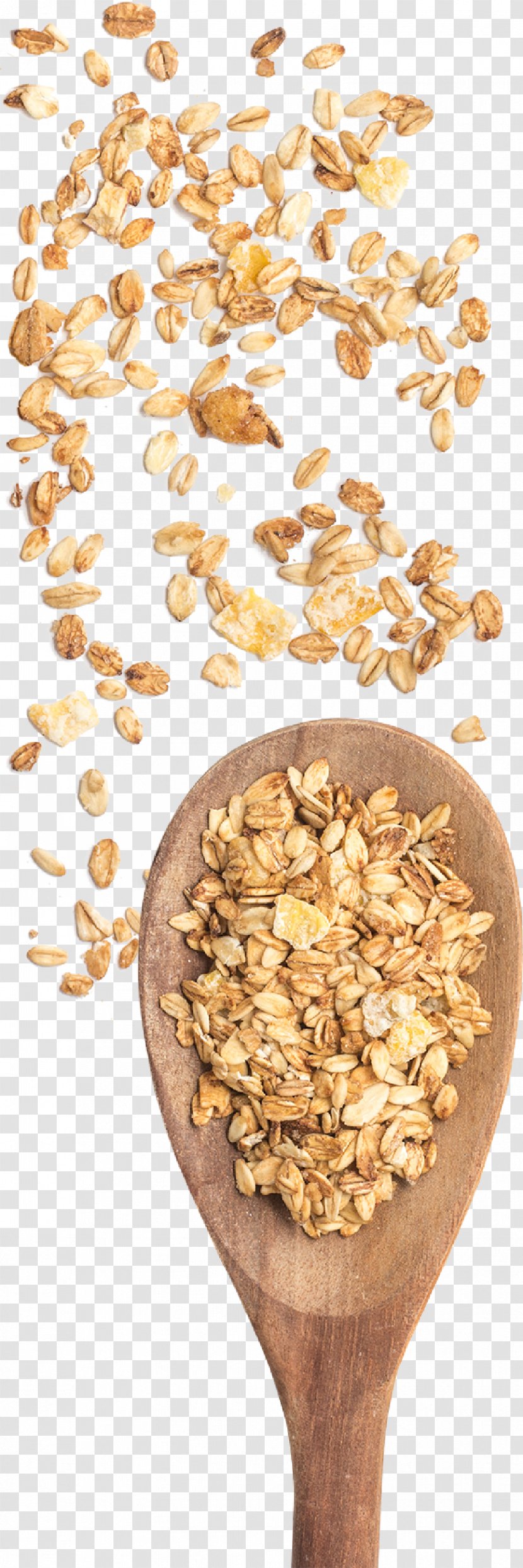 Breakfast Cereal Germ Whole Grain Oat Transparent PNG