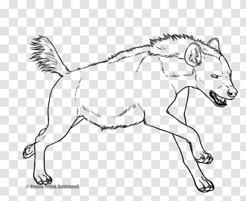 Striped Hyena Line Art Drawing Spotted - Organism Transparent PNG