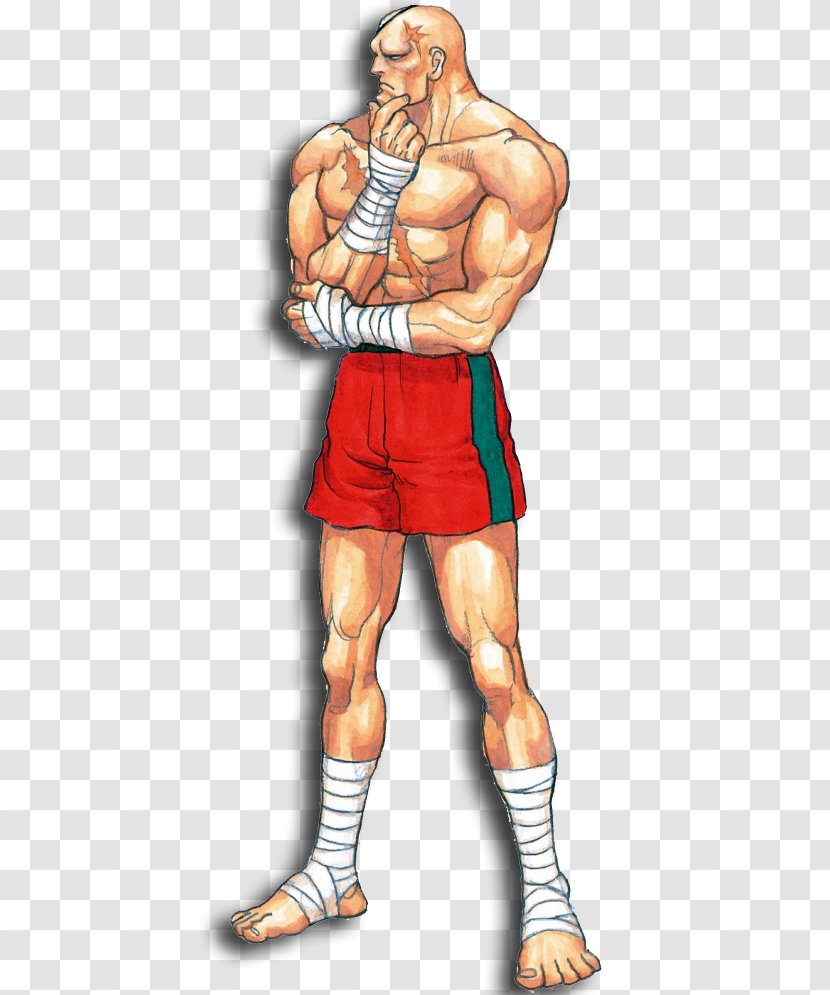 Street Fighter II: The World Warrior Alpha 2 Sagat Guile - Frame Transparent PNG