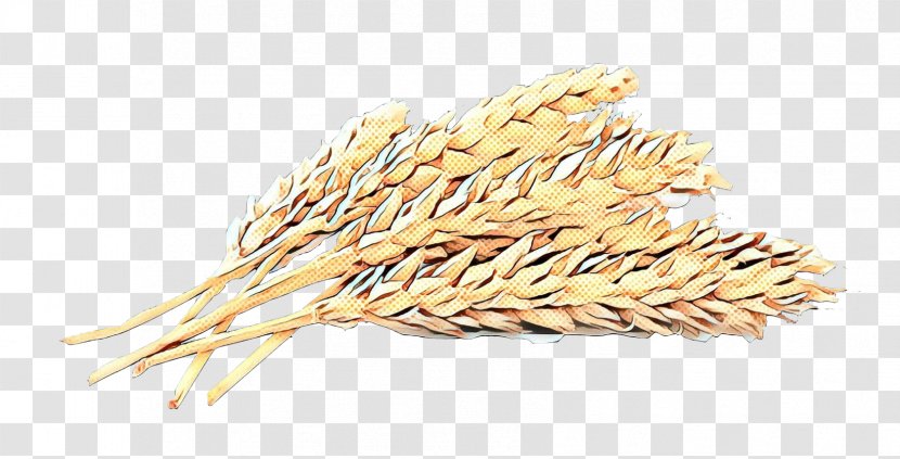 Wheat Cartoon - Farro - Poales Hordeum Transparent PNG