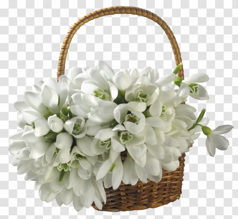 Snowdrop Flower Bouquet Basket Desktop Wallpaper Transparent PNG