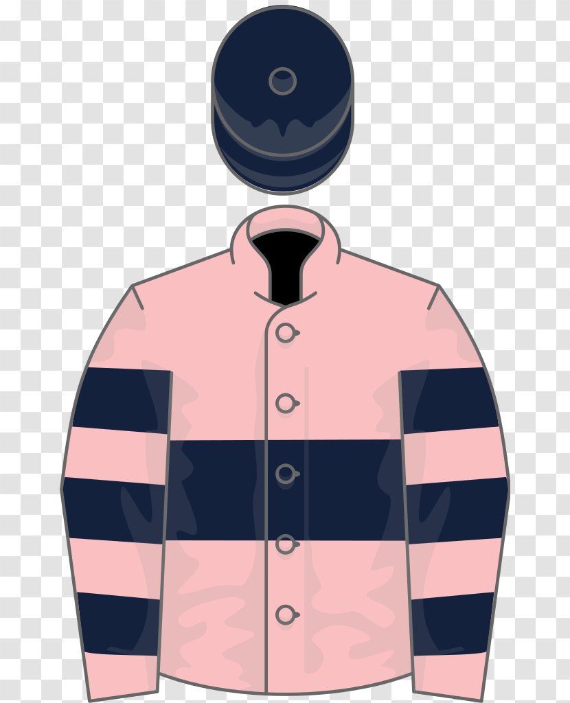 Thoroughbred Nechells Epsom Derby Oaks Lingfield Trial - Racing Silks Transparent PNG