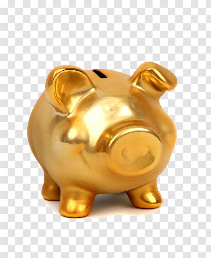 Piggy Bank Stock Photography Gold Coin - Golden Transparent PNG