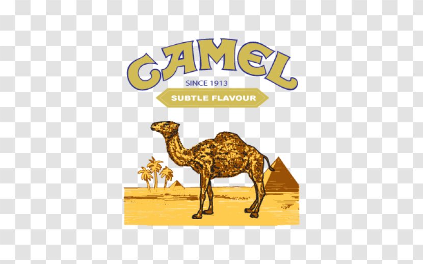 T-shirt Joe Camel Dromedary Cigarette Transparent PNG