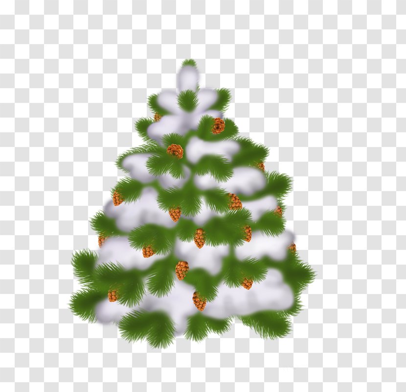 Christmas Tree Ornament Clip Art - Pine Family - Color Transparent PNG