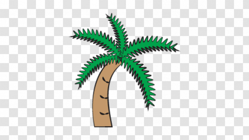 Palm Tree Transparent PNG