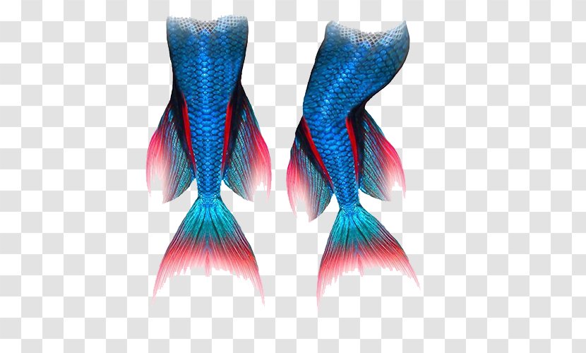 Mermaid Tail Blue - Seabed Transparent PNG