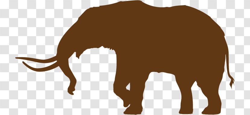 Indian Elephant African Cat Woolly Mammoth American Mastodon - Fauna - New York Silhouette Transparent PNG