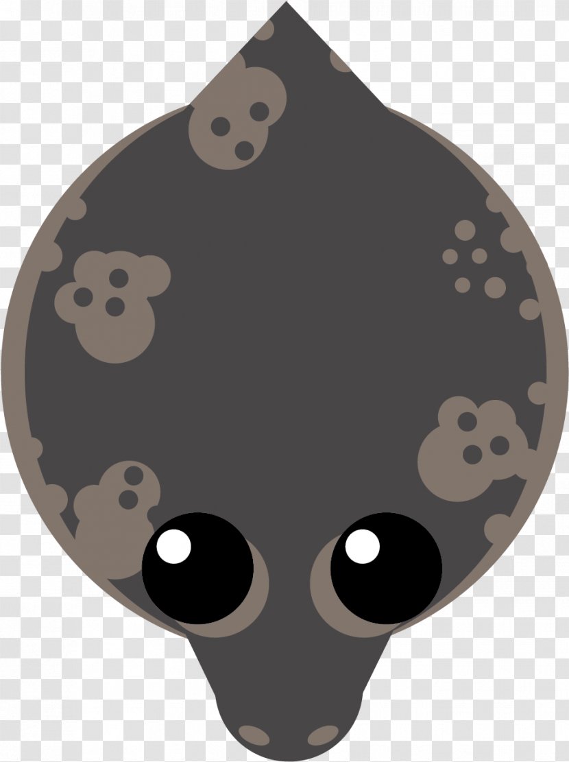 Bear Cartoon - Snout Transparent PNG