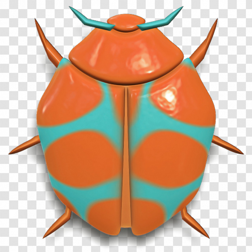 Orange Transparent PNG