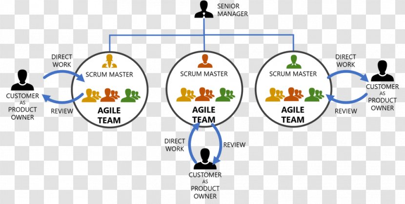 Organization Agile Software Development Scrum Product Manager Management - Diagram - Master Transparent PNG