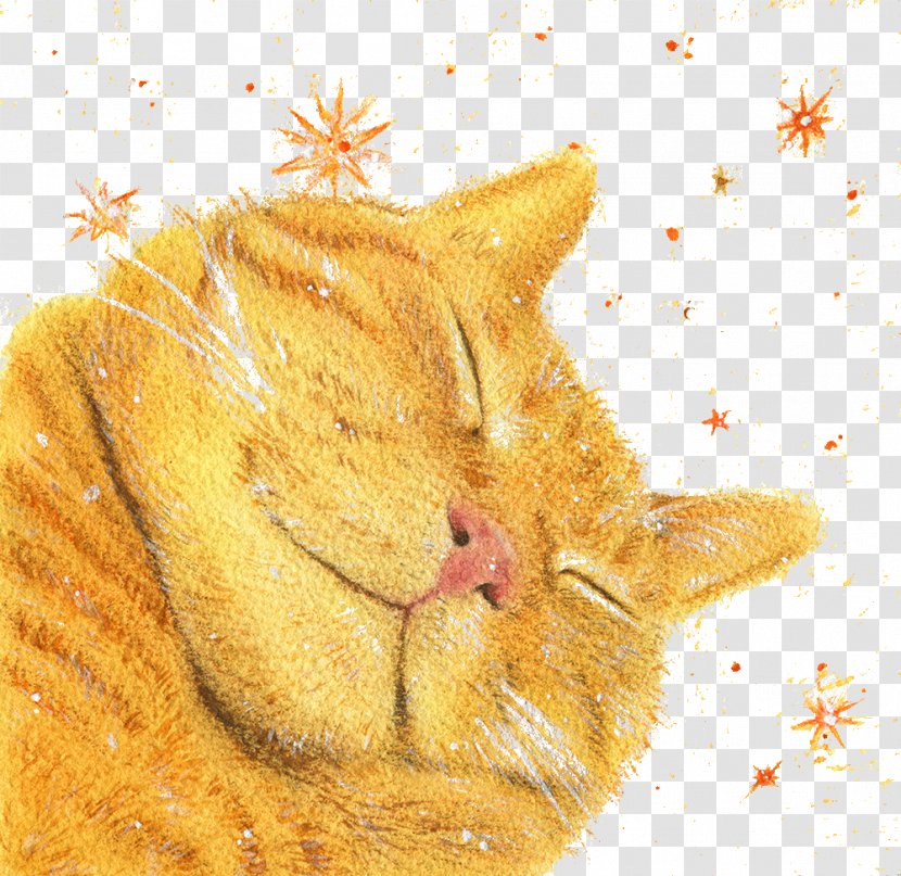 Kitten Whiskers Tabby Cat - Organism - Cats Sleep Late Transparent PNG