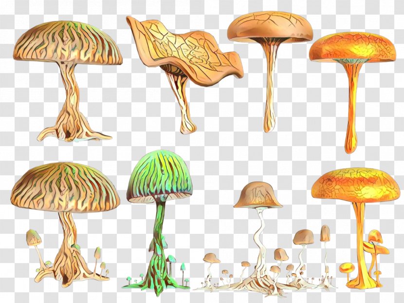 Mushroom Fungus Shiitake Design Drawing - Bolete - Agaricus Russula Integra Transparent PNG