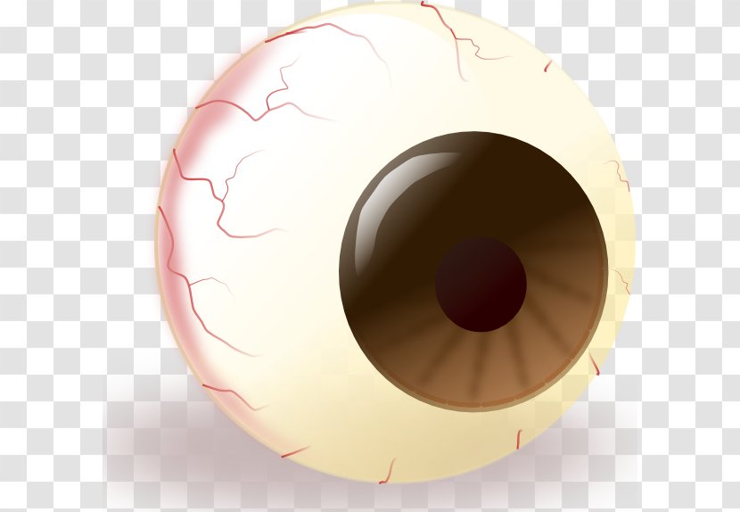 Eye Iris Clip Art - Watercolor - Eyeball Graphics Transparent PNG