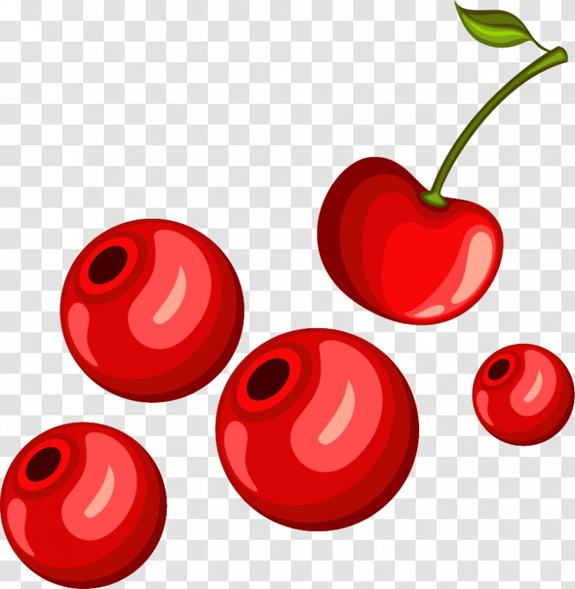 Cherry Euclidean Vector Clip Art - Food - Lovely Material Transparent PNG