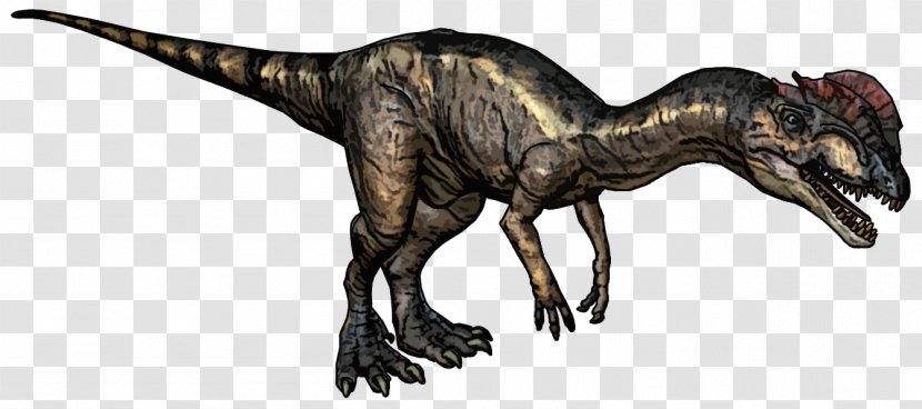 Dilophosaurus Tyrannosaurus Dinosaur Ceratosaurus Megalosaurus - Dino Transparent PNG