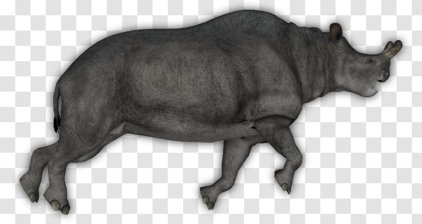 Cattle Tapir Rhinoceros Bison Horn - Animal Transparent PNG