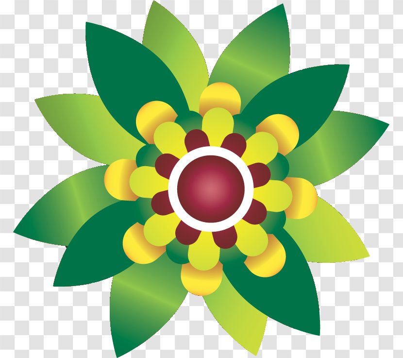 Floral Design Flower Adobe Photoshop Green Transparent PNG