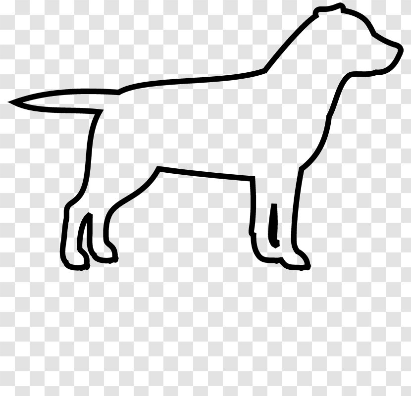 French Bulldog Puppy Labrador Retriever Maltese Dog - Vertebrate - Platinum Outline Transparent PNG