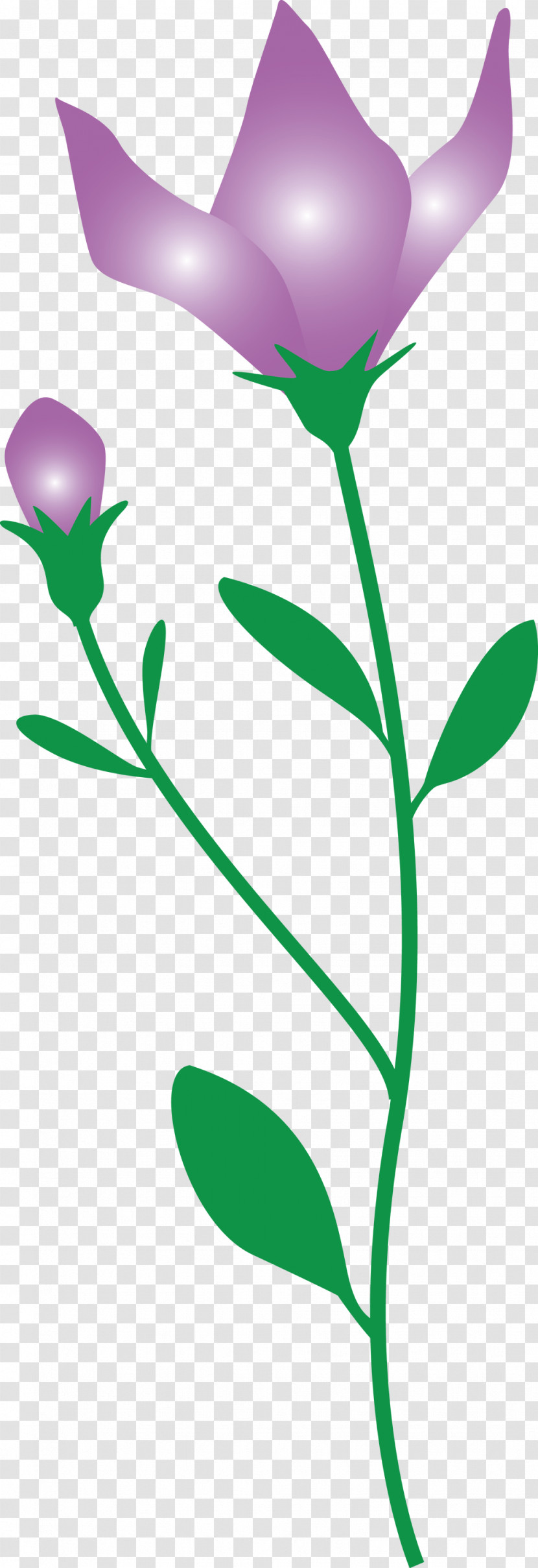 Balloon Flower Transparent PNG