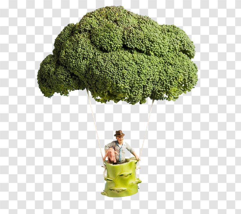 Villorba Sustainability Organic Farming Agriculture Food - Resource - Broccoli Transparent PNG