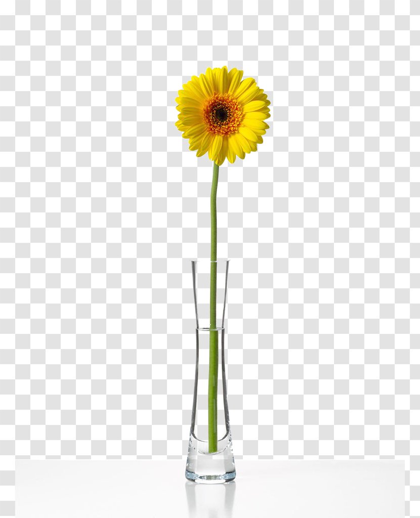 Transvaal Daisy Flower Bottle Chrysanthemum - Water Transparent PNG