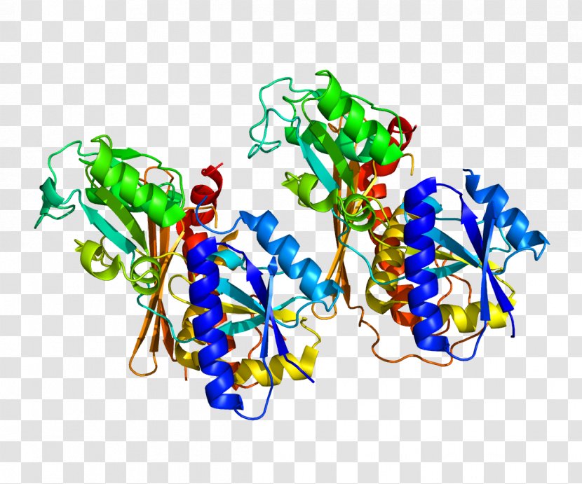 Porphobilinogen Deaminase Deamination Hydroxymethylbilane Enzyme - Conserved Sequence - Lyase Transparent PNG