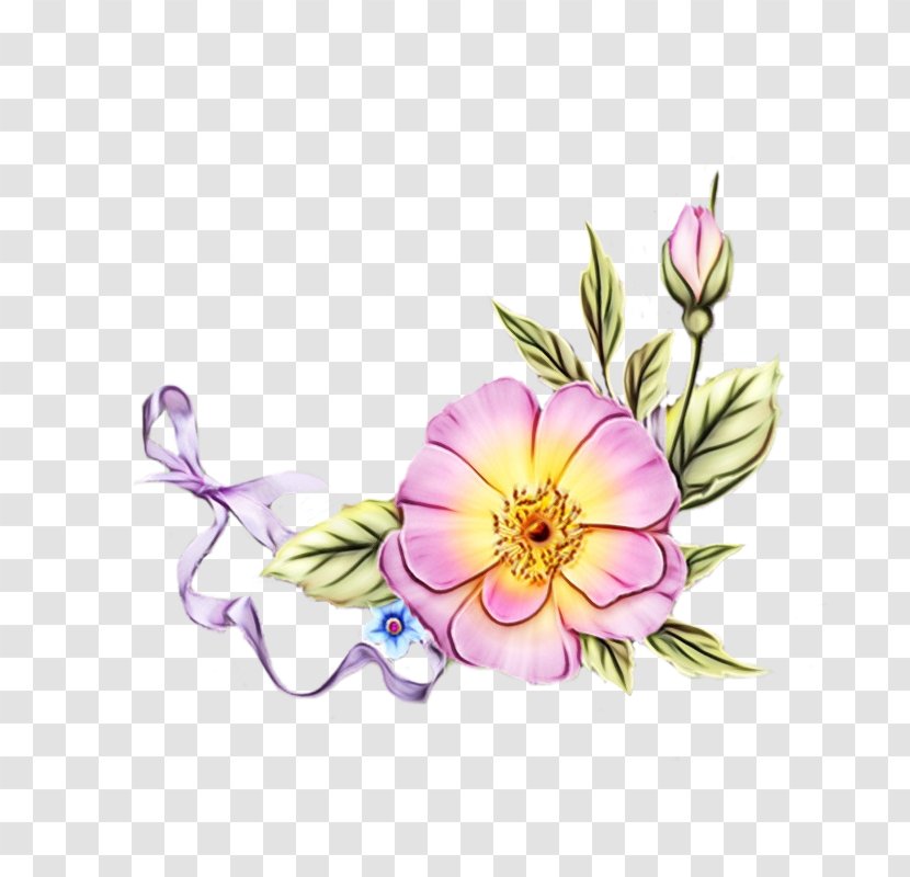 Clip Art Floral Design Illustration Image - Morning Glory - Borders And Frames Transparent PNG