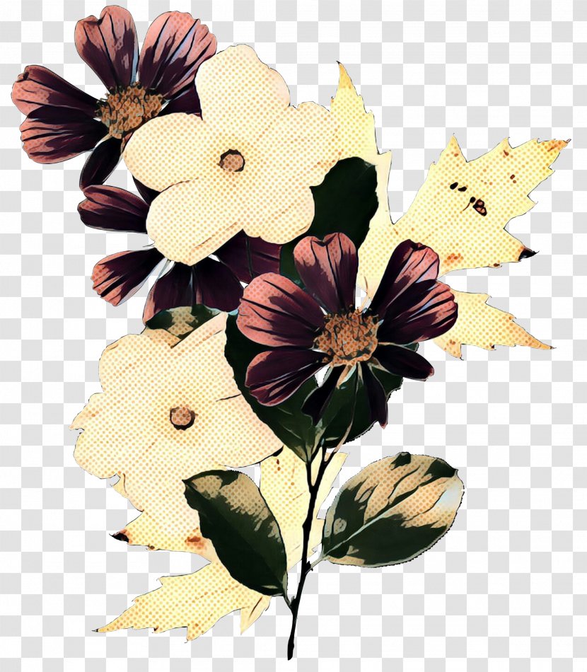 Wedding Flower Background - Magnolia - Family Wildflower Transparent PNG