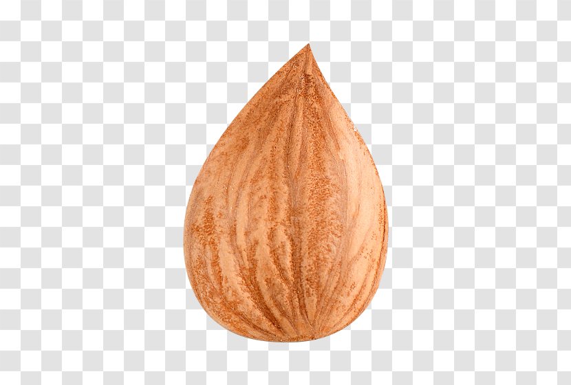 Apricot Kernel Dried Fruit - Walnut - Physical Map Transparent PNG