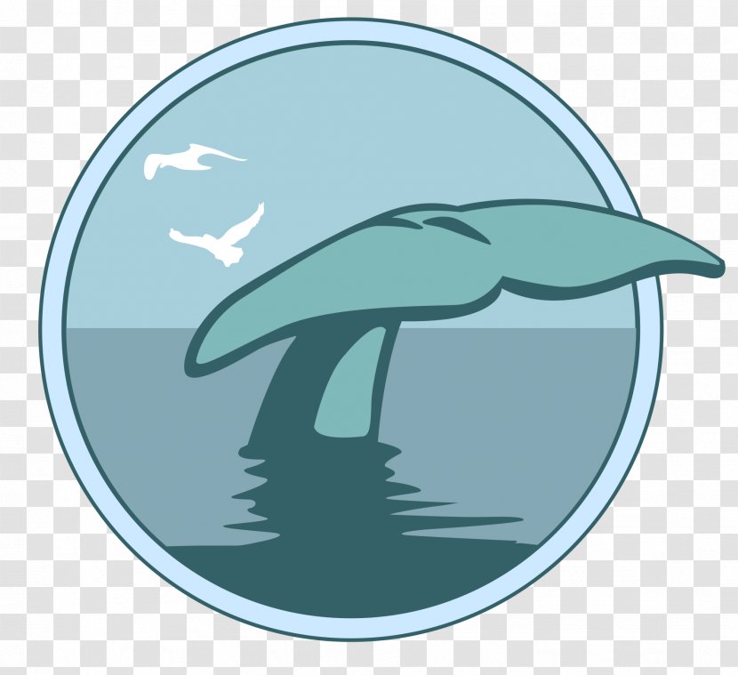 Whale's Tale Dolphin Marine Mammal Cetacea - Ale - Whale Transparent PNG