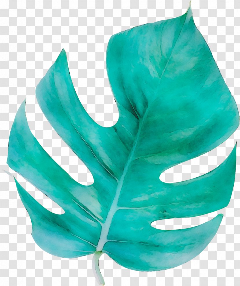 Leaf Turquoise - Aqua Transparent PNG