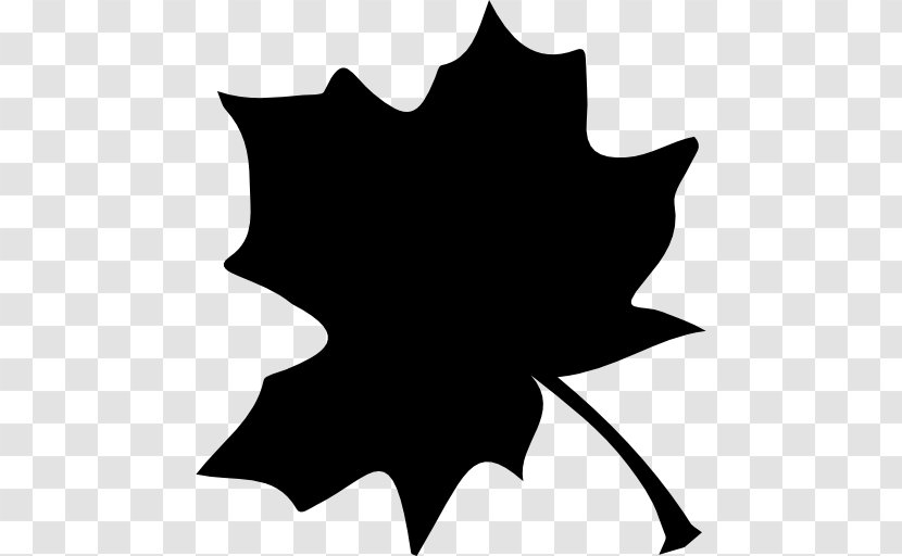 Maple Leaf Tree Shape - Plant Transparent PNG