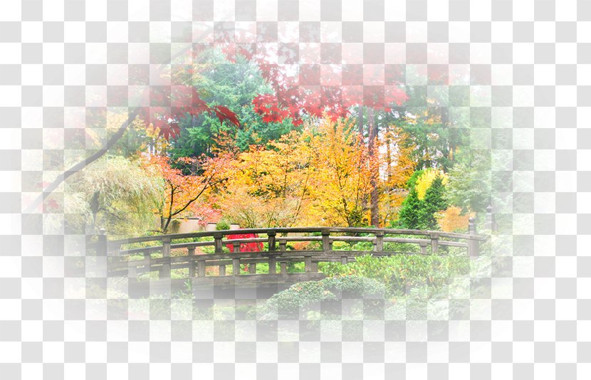 Fototapeta Wayside Gardens Wallpaper - Painting - Plant Transparent PNG