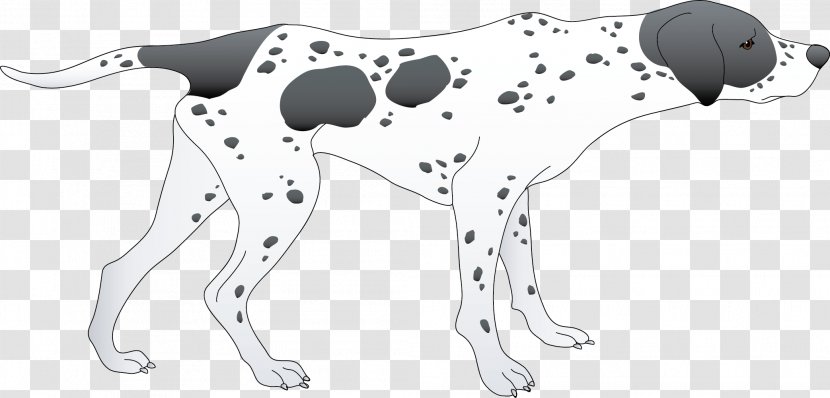 Dalmatian Dog Paw Cat Non-sporting Group Clip Art - 3d Transparent PNG