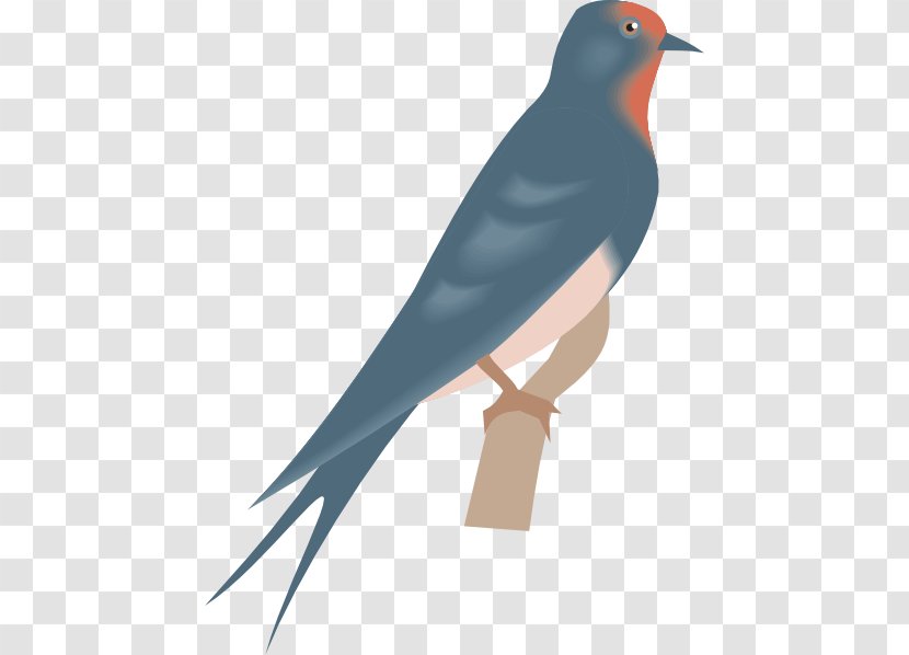 Swallow Bird Clip Art - Songbird - Clipart Transparent PNG
