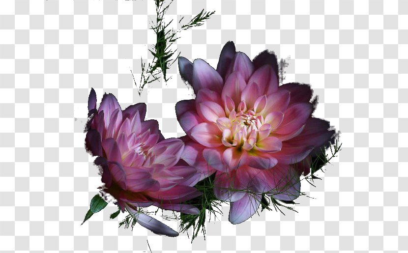 Floral Design Flower Diary Clip Art - Flowering Plant Transparent PNG