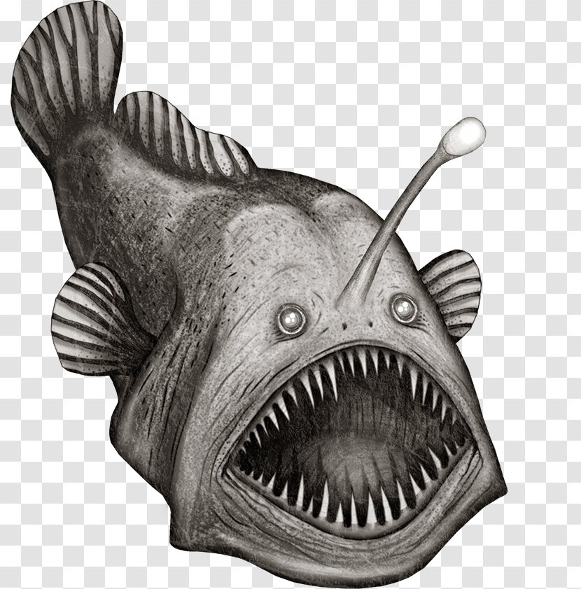 Fish Clip Art - Monkfish - Monster Pattern Transparent PNG