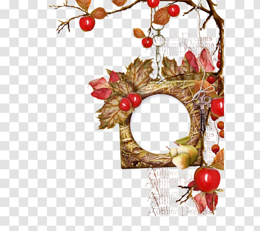 Christmas Decoration - Holly - Interior Design Transparent PNG