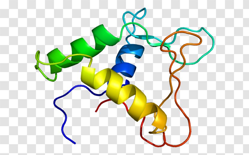 FLI1 ERG Ewing Sarcoma Breakpoint Region 1 Protein Gene - Fusion Transparent PNG