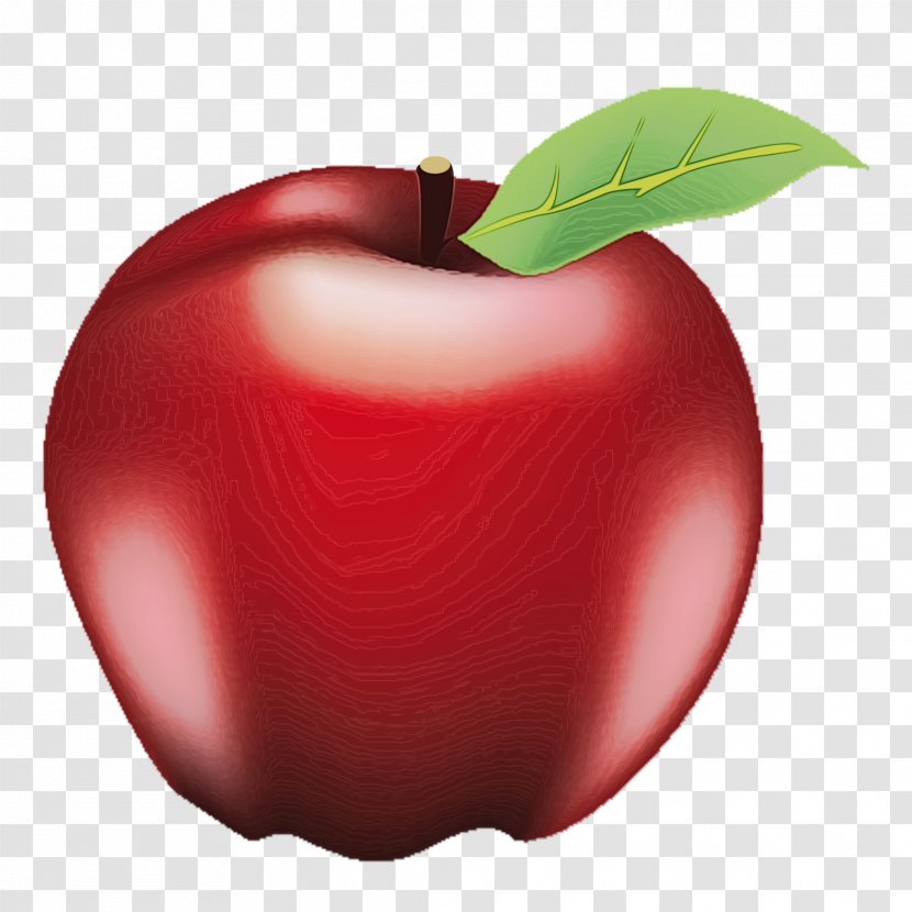 Apple Cartoon - Malus - Rose Order Transparent PNG