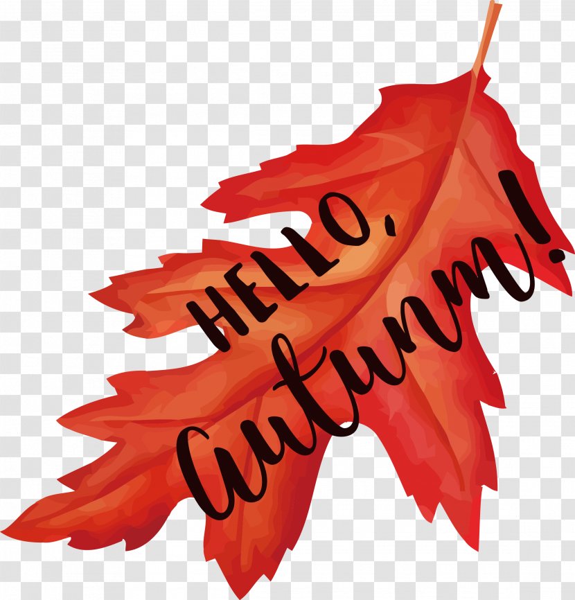 Autumn Home Page Maple Leaf - Red - Design Transparent PNG